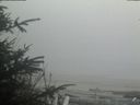 ./images/calvert/beach/20200418/beach20200418_180503.jpg