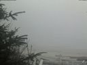 ./images/calvert/beach/20200418/beach20200418_181503.jpg