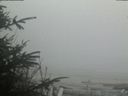 ./images/calvert/beach/20200418/beach20200418_182503.jpg