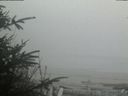 ./images/calvert/beach/20200418/beach20200418_183503.jpg