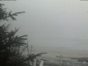./images/calvert/beach/20200418/beach20200418_184502.jpg