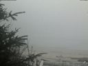 ./images/calvert/beach/20200418/beach20200418_190502.jpg