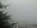 ./images/calvert/beach/20200418/beach20200418_195002.jpg