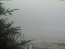 ./images/calvert/beach/20200418/beach20200418_200502.jpg