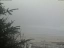 ./images/calvert/beach/20200418/beach20200418_201003.jpg