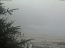 ./images/calvert/beach/20200418/beach20200418_201502.jpg
