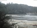 ./images/calvert/beach/20200419/beach20200419_062003.jpg