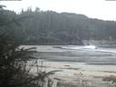 ./images/calvert/beach/20200419/beach20200419_062502.jpg