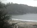 ./images/calvert/beach/20200419/beach20200419_113502.jpg