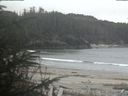 ./images/calvert/beach/20200419/beach20200419_132502.jpg