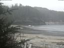 ./images/calvert/beach/20200419/beach20200419_150502.jpg