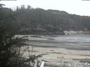 ./images/calvert/beach/20200419/beach20200419_202502.jpg