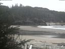./images/calvert/beach/20200421/beach20200421_202003.jpg