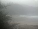 ./images/calvert/beach/20200423/beach20200423_105502.jpg