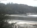 ./images/calvert/beach/20200428/beach20200428_112502.jpg