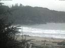 ./images/calvert/beach/20200430/beach20200430_055502.jpg