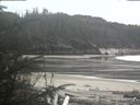 ./images/calvert/beach/20200503/beach20200503_161502.jpg