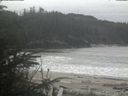./images/calvert/beach/20200504/beach20200504_105001.jpg
