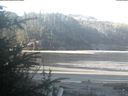 ./images/calvert/beach/20200508/beach20200508_083502.jpg