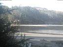 ./images/calvert/beach/20200508/beach20200508_084002.jpg