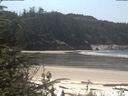 ./images/calvert/beach/20200510/beach20200510_122502.jpg