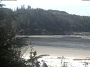 ./images/calvert/beach/20200511/beach20200511_100502.jpg