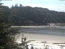 ./images/calvert/beach/20200511/beach20200511_112502.jpg