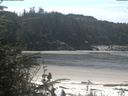 ./images/calvert/beach/20200511/beach20200511_113501.jpg