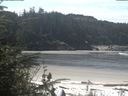 ./images/calvert/beach/20200511/beach20200511_114002.jpg