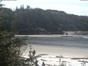 ./images/calvert/beach/20200511/beach20200511_115002.jpg