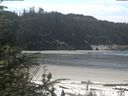 ./images/calvert/beach/20200511/beach20200511_121501.jpg