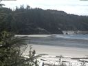 ./images/calvert/beach/20200511/beach20200511_125502.jpg