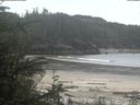 ./images/calvert/beach/20200514/beach20200514_105503.jpg