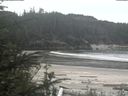 ./images/calvert/beach/20200515/beach20200515_120502.jpg