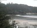 ./images/calvert/beach/20200515/beach20200515_122003.jpg