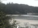 ./images/calvert/beach/20200515/beach20200515_133502.jpg