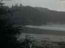 ./images/calvert/beach/20200517/beach20200517_052002.jpg