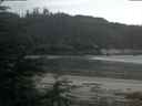 ./images/calvert/beach/20200520/beach20200520_051503.jpg