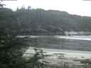 ./images/calvert/beach/20200520/beach20200520_052003.jpg