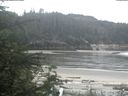 ./images/calvert/beach/20200523/beach20200523_085002.jpg