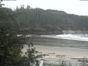 ./images/calvert/beach/20200523/beach20200523_110502.jpg