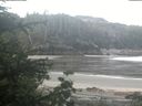 ./images/calvert/beach/20200525/beach20200525_081002.jpg