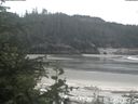 ./images/calvert/beach/20200527/beach20200527_113503.jpg