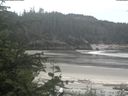 ./images/calvert/beach/20200527/beach20200527_130503.jpg