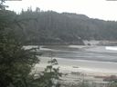 ./images/calvert/beach/20200528/beach20200528_112502.jpg