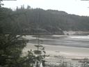 ./images/calvert/beach/20200528/beach20200528_123502.jpg