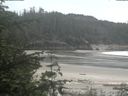 ./images/calvert/beach/20200528/beach20200528_124003.jpg