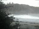 ./images/calvert/beach/20200529/beach20200529_045501.jpg