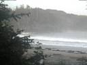 ./images/calvert/beach/20200529/beach20200529_050502.jpg