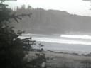 ./images/calvert/beach/20200529/beach20200529_051003.jpg